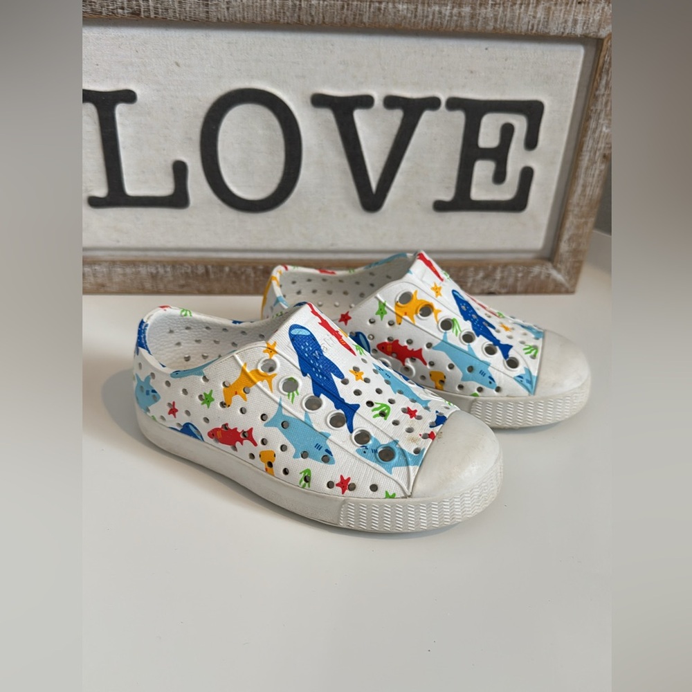 Native 6